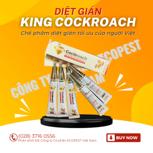 DIỆT GIÁN KING COCKROACH 20G - Chế phẩm diệt gián hiệu quả của người Việt