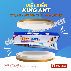 DIỆT KIẾN KING ANT 20G - Chế phẩm diệt kiến của người Việt